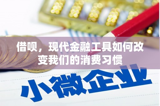 普格借呗，现代金融工具如何改变我们的消费习惯