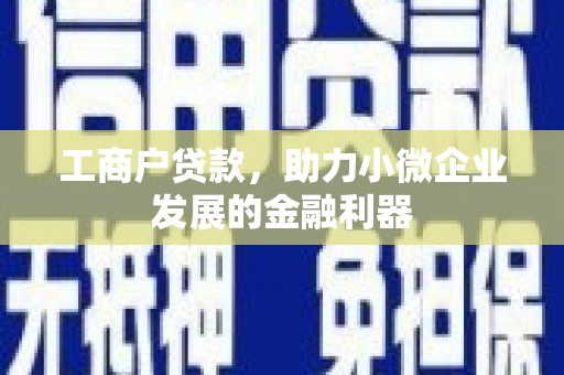 普格工商户贷款，助力小微企业发展的金融利器