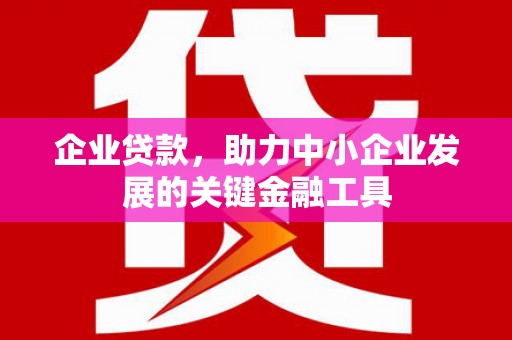 普格企业贷款，助力中小企业发展的关键金融工具