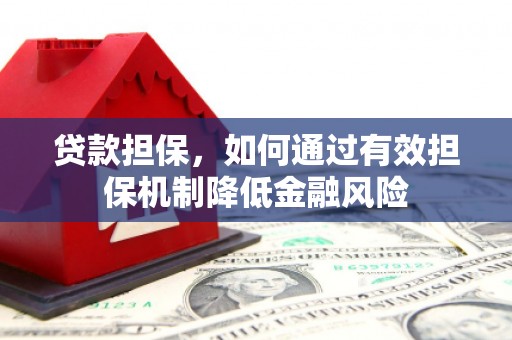 普格贷款担保，如何通过有效担保机制降低金融风险