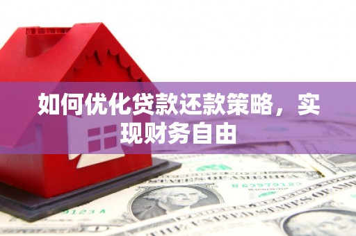 普格如何优化贷款还款策略，实现财务自由
