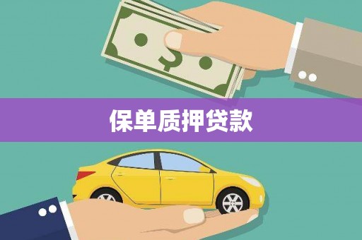 普格保单质押贷款