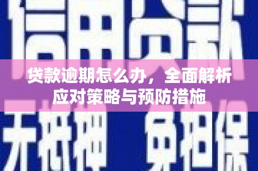 普格贷款逾期怎么办，全面解析应对策略与预防措施