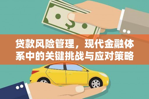 普格贷款风险管理，现代金融体系中的关键挑战与应对策略