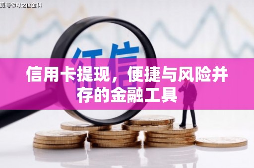 普格信用卡提现，便捷与风险并存的金融工具