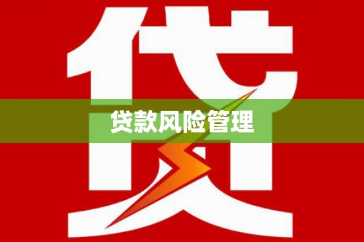 普格贷款风险管理