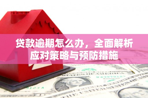 普格贷款逾期怎么办，全面解析应对策略与预防措施