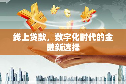普格线上贷款，数字化时代的金融新选择
