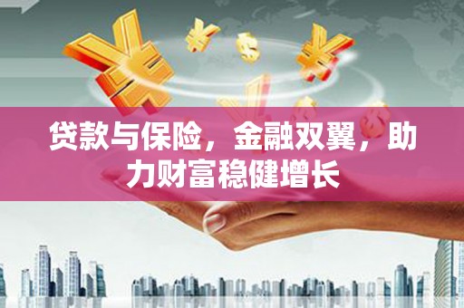 普格贷款与保险，金融双翼，助力财富稳健增长