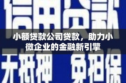 普格小额贷款公司贷款，助力小微企业的金融新引擎
