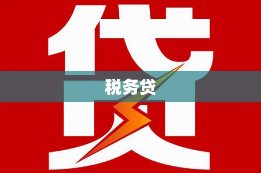 普格税务贷