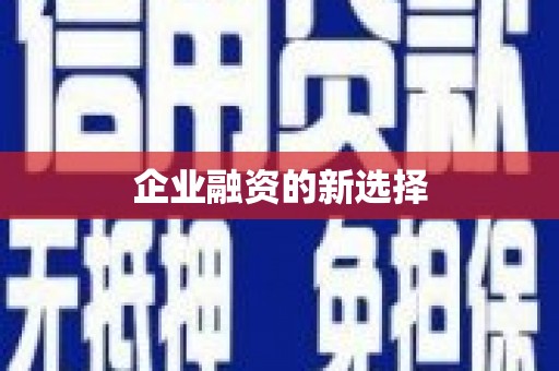 普格企业融资的新选择