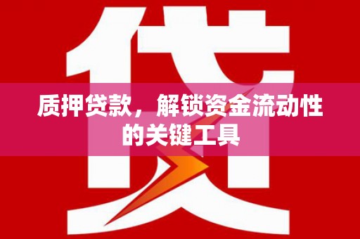 普格质押贷款，解锁资金流动性的关键工具