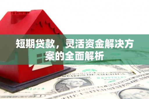 普格短期贷款，灵活资金解决方案的全面解析