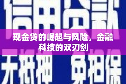 普格现金贷的崛起与风险，金融科技的双刃剑