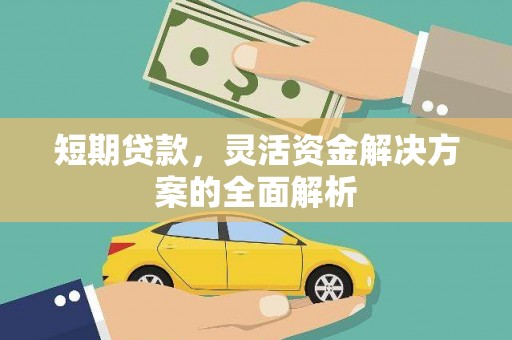 普格短期贷款，灵活资金解决方案的全面解析