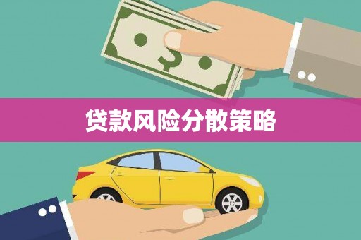 普格贷款风险分散策略
