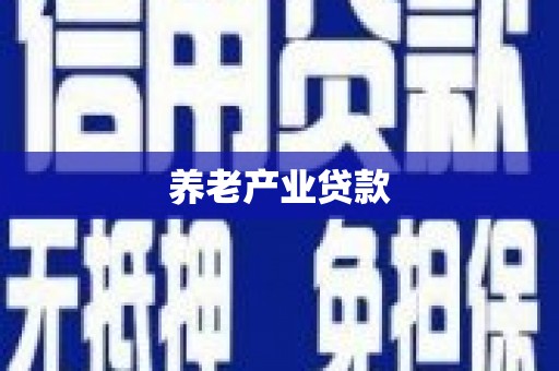 普格养老产业贷款