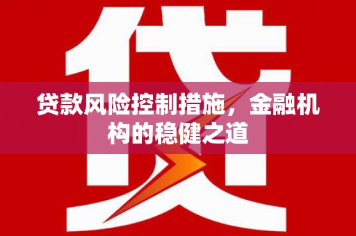 普格贷款风险控制措施，金融机构的稳健之道