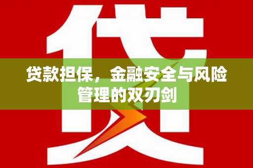 普格贷款担保，金融安全与风险管理的双刃剑