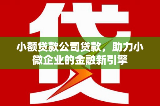 普格小额贷款公司贷款，助力小微企业的金融新引擎