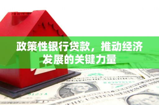 普格政策性银行贷款，推动经济发展的关键力量