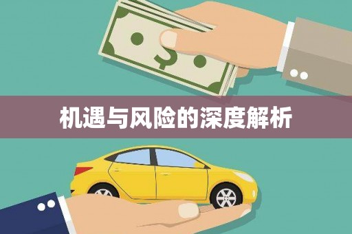 普格机遇与风险的深度解析