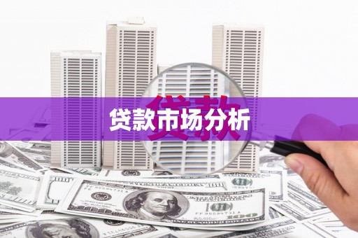 普格贷款市场分析