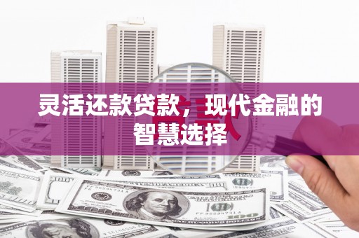 普格灵活还款贷款，现代金融的智慧选择