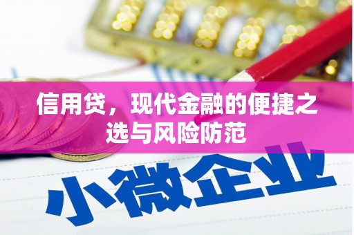 普格信用贷，现代金融的便捷之选与风险防范