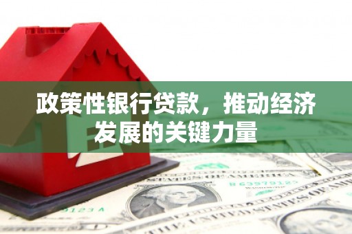 普格政策性银行贷款，推动经济发展的关键力量