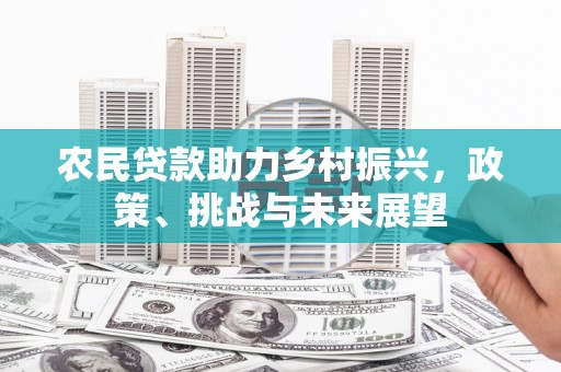 普格农民贷款助力乡村振兴，政策、挑战与未来展望