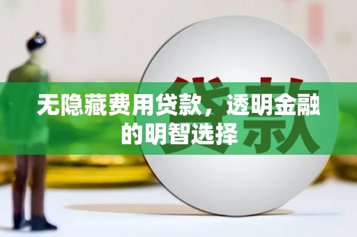普格无隐藏费用贷款，透明金融的明智选择