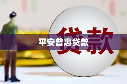普格平安普惠贷款