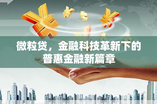 普格微粒贷，金融科技革新下的普惠金融新篇章