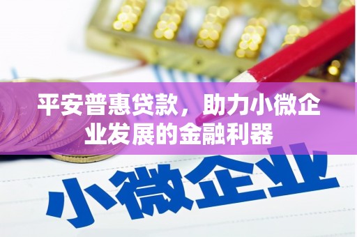 普格平安普惠贷款，助力小微企业发展的金融利器