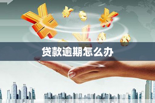 普格贷款逾期怎么办