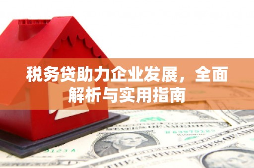 普格税务贷助力企业发展，全面解析与实用指南