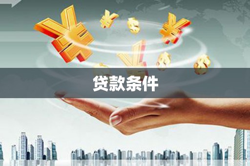 普格贷款条件