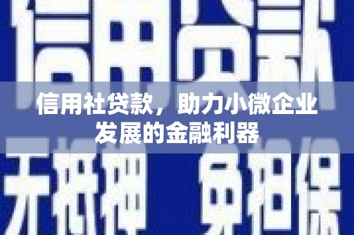 普格信用社贷款，助力小微企业发展的金融利器