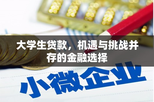 普格大学生贷款，机遇与挑战并存的金融选择