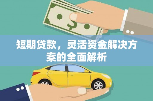 普格短期贷款，灵活资金解决方案的全面解析