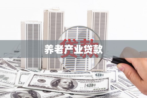 普格养老产业贷款