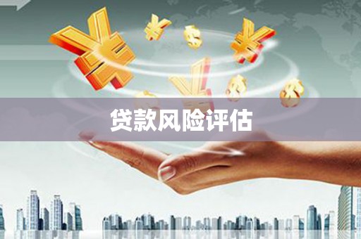 普格贷款风险评估
