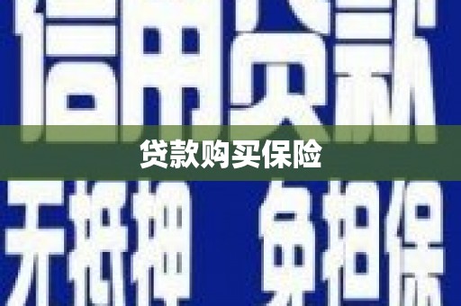 普格贷款购买保险
