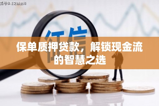普格保单质押贷款，解锁现金流的智慧之选