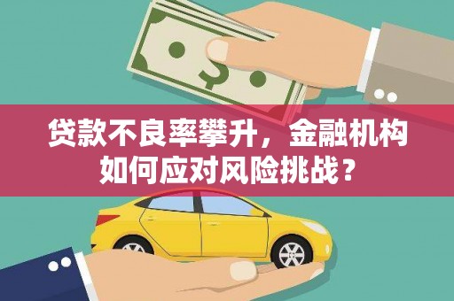 普格贷款不良率攀升，金融机构如何应对风险挑战？