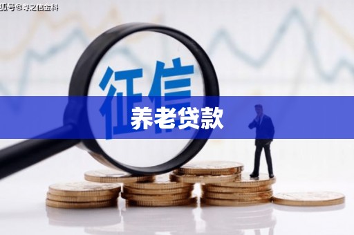 普格养老贷款