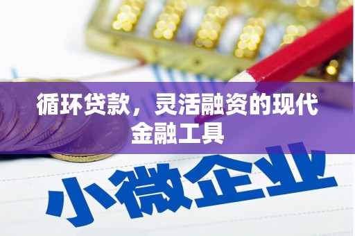 普格循环贷款，灵活融资的现代金融工具