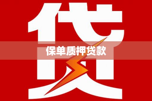 普格保单质押贷款